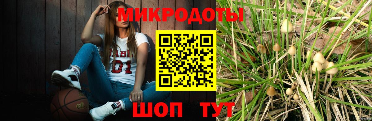 Кувандык  Галлюциногенные грибы Magic Shrooms  Вход с VPN 
